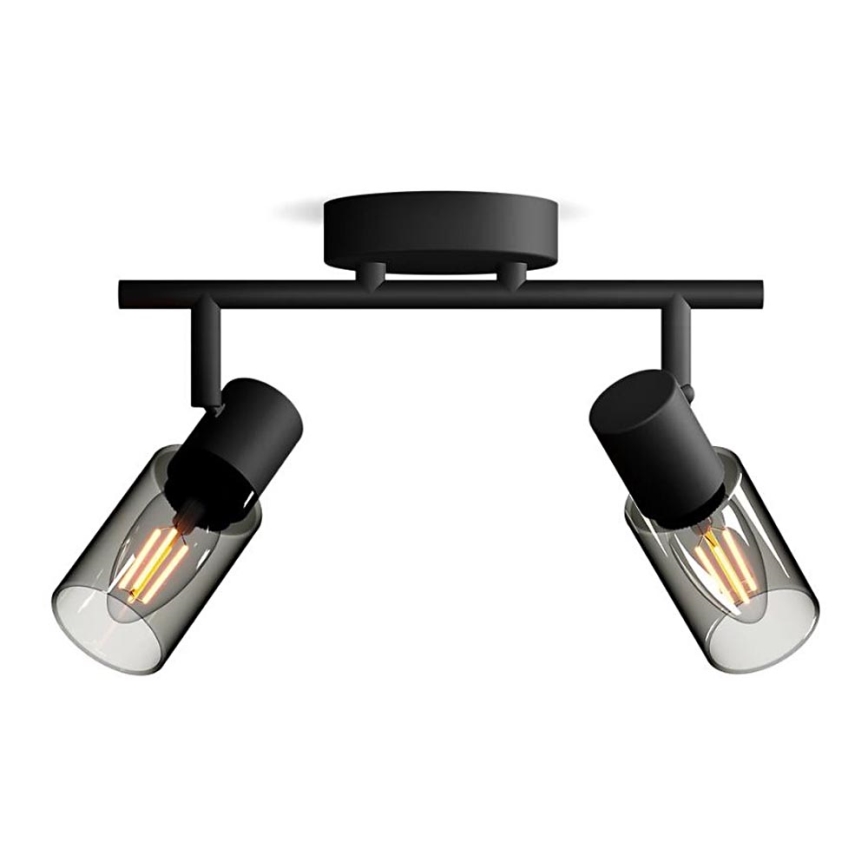 Philips - Reflektorska lampa PALMS 2xE14/25W/230V
