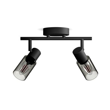 Philips - Reflektorska lampa PALMS 2xE14/25W/230V