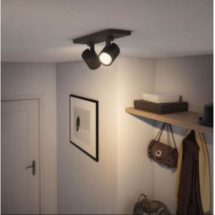 Philips - Reflektorska lampa RUNNER 2xGU10/20W/230V crno