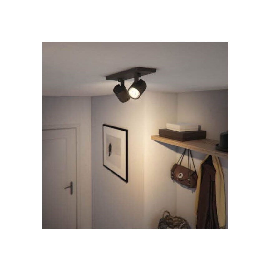 Philips - Reflektorska lampa RUNNER 2xGU10/20W/230V crno