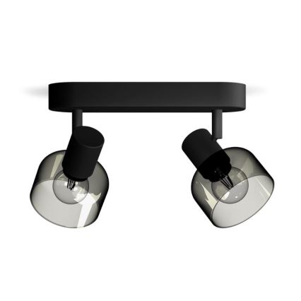 Philips - Reflektorska lampa SLEET 2xE14/25W/230V