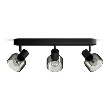 Philips - Reflektorska lampa SLEET 3xE14/25W/230V