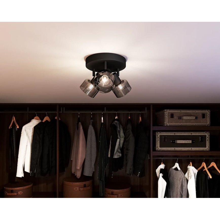 Philips - Reflektorska lampa SLEET 3xE14/25W/230V