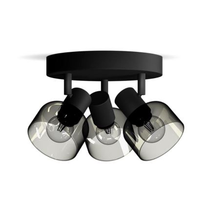Philips - Reflektorska lampa SLEET 3xE14/25W/230V