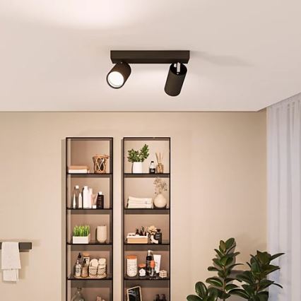 Philips - Reflektorska lampa za kupatilo IDRIS 2xGU10/5W/230V IP44 crno