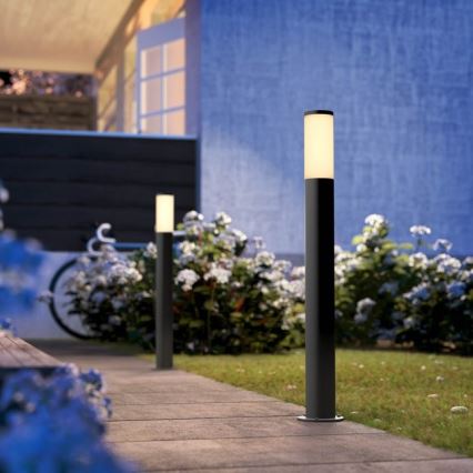 Philips - Spoljašnja lampa 1xE27/20W/230V 80 cm IP44