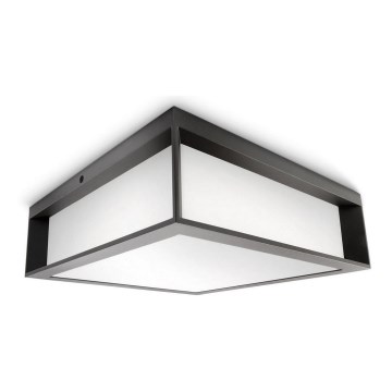 Philips - Vanjska plafonska svjetlijka SKIES 2xE27/14W/230V IP44 antracit