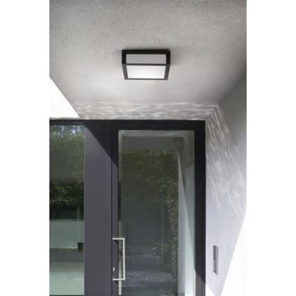 Philips - Vanjska plafonska svjetlijka SKIES 2xE27/14W/230V IP44 antracit