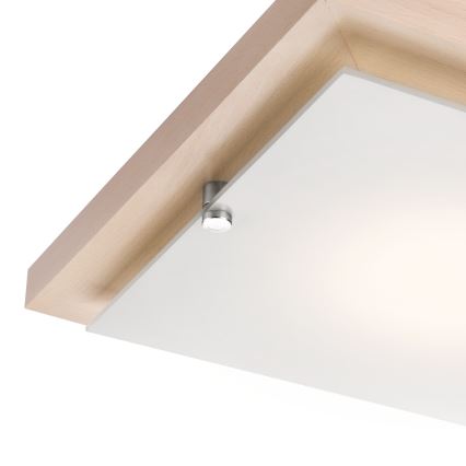 Plafonjera 1xE27/60W/230V bukva