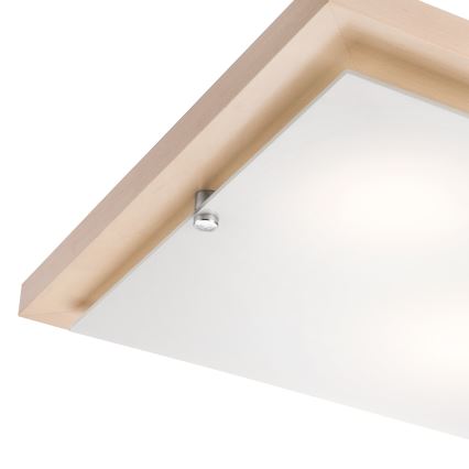 Plafonjera 2xE27/60W/230V bukva