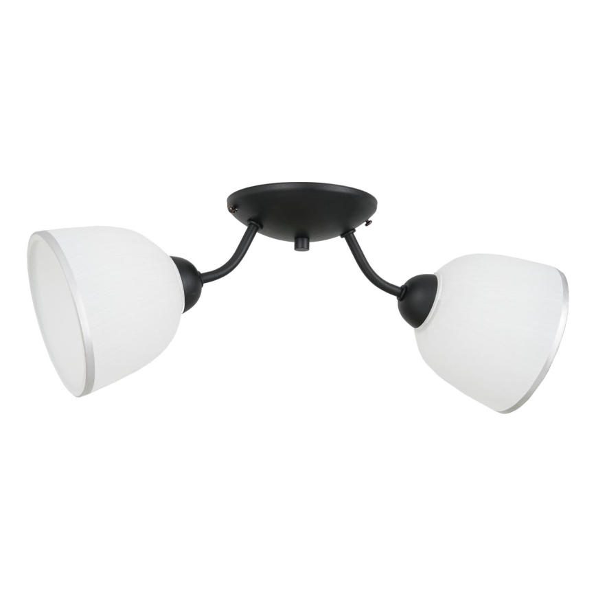 Plafonjera AVIA 2xE27/60W/230V