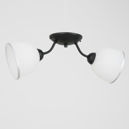 Plafonjera AVIA 2xE27/60W/230V