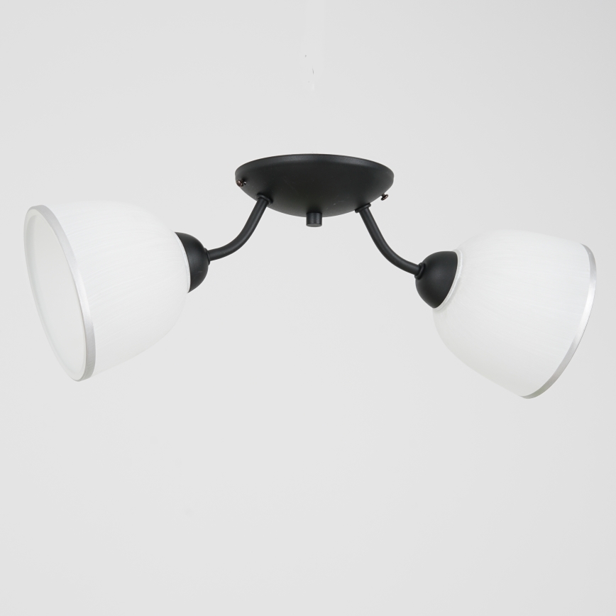 Plafonjera AVIA 2xE27/60W/230V