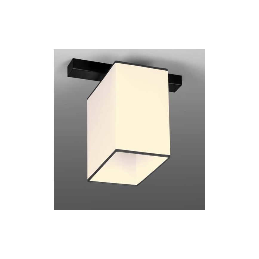 Plafonjera BACARA 1xE27/60W/230V