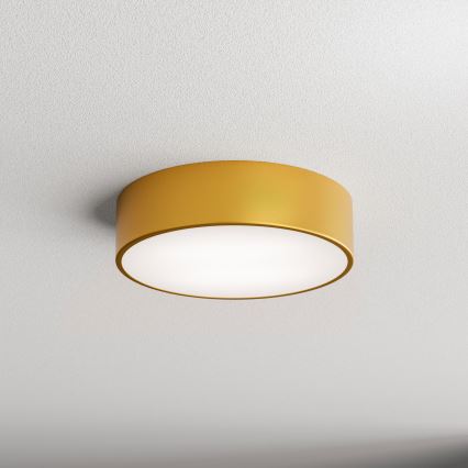 Plafonjera CLEO 2xE27/24W/230V pr. 30 cm zl.