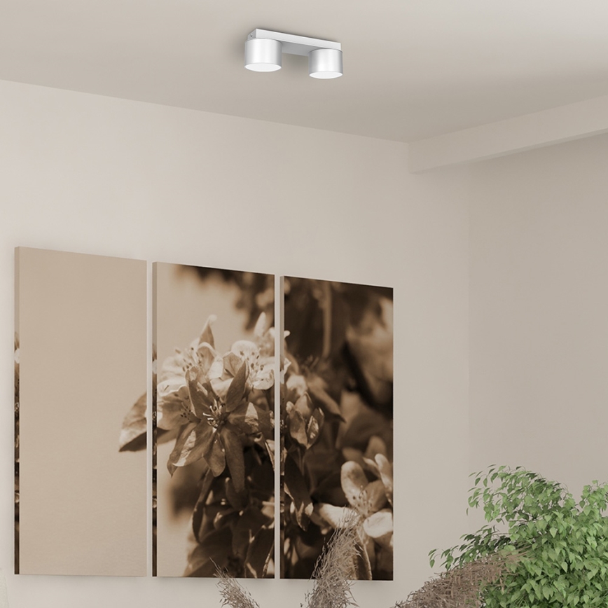 Plafonjera DIXIE 2xGX53/11W/230V bela