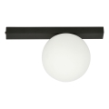Plafonjera FIT 1xE14/10W/230V crni/bela