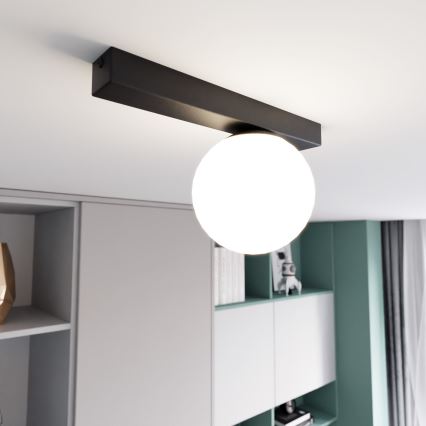 Plafonjera FIT 1xE14/10W/230V crni/bela