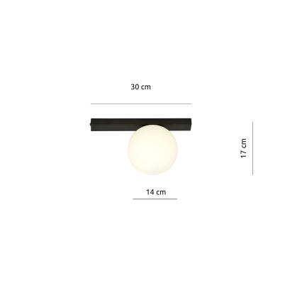 Plafonjera FIT 1xE14/10W/230V crni/bela