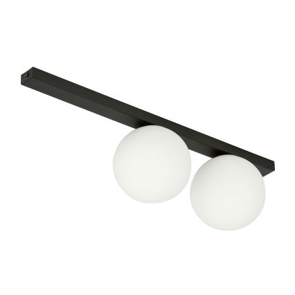 Plafonjera FIT 2xE14/10W/230V crni/bela
