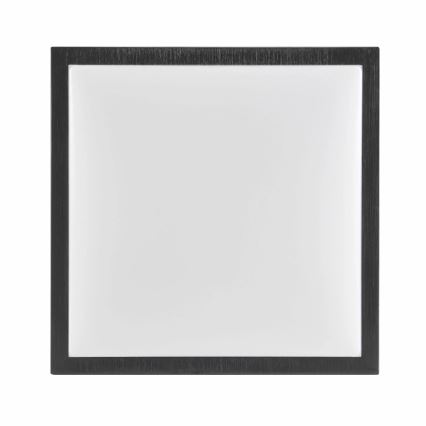Plafonjera KAZIMIERZ 2xE27/20W/230V 29,5x29,5 cm crni