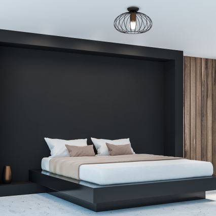 Plafonjera MERIDIANO 1xE27/60W/230V