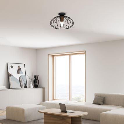 Plafonjera MERIDIANO 1xE27/60W/230V