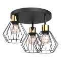 Plafonjera PARKLA 3xE27/15W/230V crni/zl.