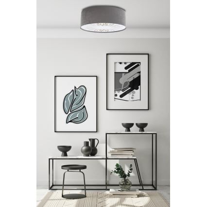 Plafonjera RAYS 2xE27/60W/230V pr. 60 cm siv