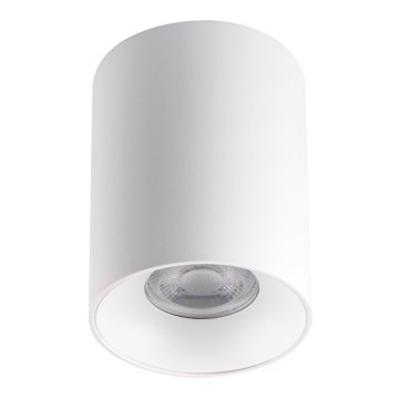 Plafonjera RITI 1xGU10/25W/230V bela