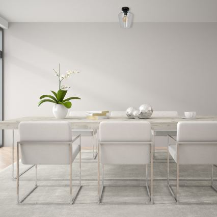 Plafonjera SANTIAGO 1xE27/60W/230V prozirna