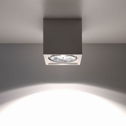 Plafonjera SEIDA 1xGU10/40W/230V