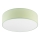 Plafonjera SIRJA PASTEL 2xE27/60W/230V pr. 45 cm zelena