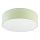 Plafonjera SIRJA PASTEL DOUBLE 4xE27/15W/230V pr. 45 cm zelena