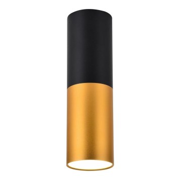 Plafonjera TUBA 1xGU10/15W/230V