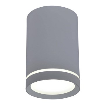 Plafonjera TUBA GU10/15W/230V