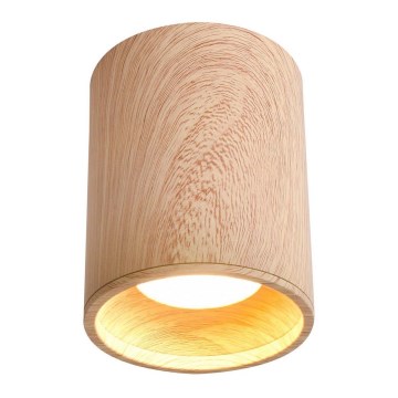 Plafonjera TUBA GU10/15W/230V