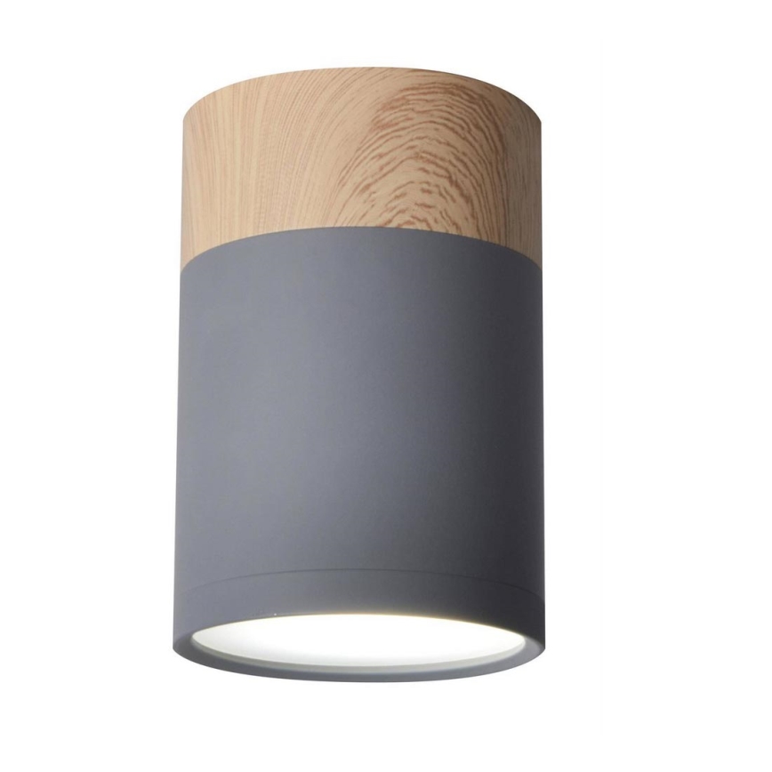 Plafonjera TUBA GU10/15W/230V