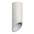 Plafonjera VALDA 1xGU10/60W/230V bela