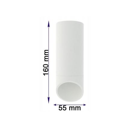 Plafonjera VALDA 1xGU10/60W/230V bela