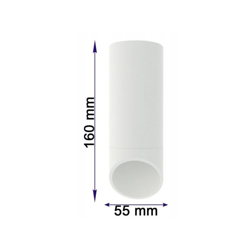 Plafonjera VALDA 1xGU10/60W/230V bela
