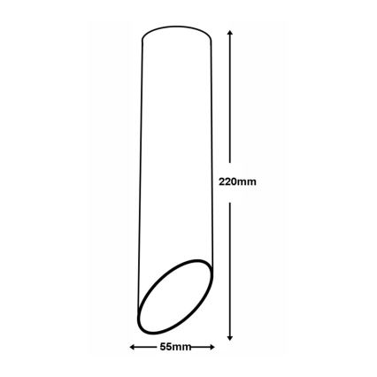 Plafonjera VALDA 1xGU10/60W/230V bela