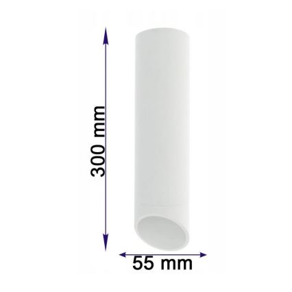Plafonjera VALDA 1xGU10/60W/230V bela