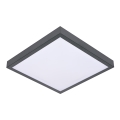 Plafonjera VITAL 2xE27/60W/230V antr