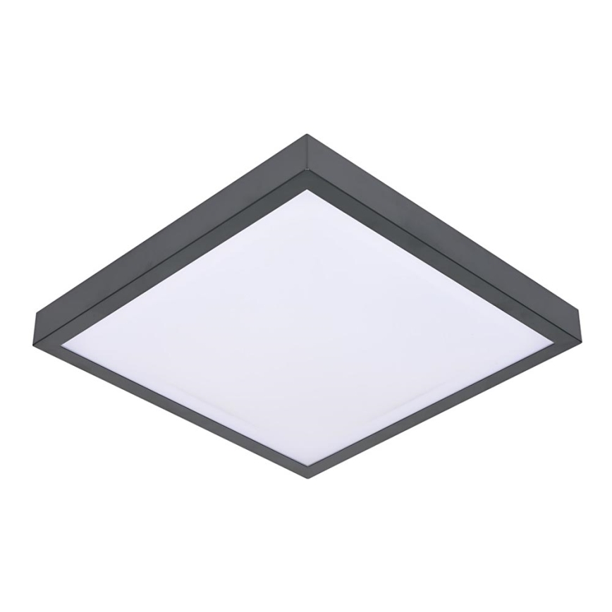 Plafonjera VITAL 2xE27/60W/230V antr
