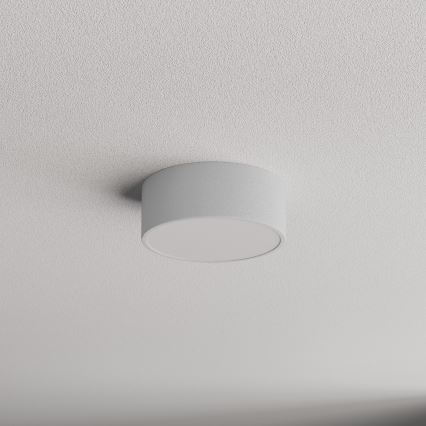 Plafonjera za kup. CLEO 1xE27/24W/230V pr. 20 cm siv IP54