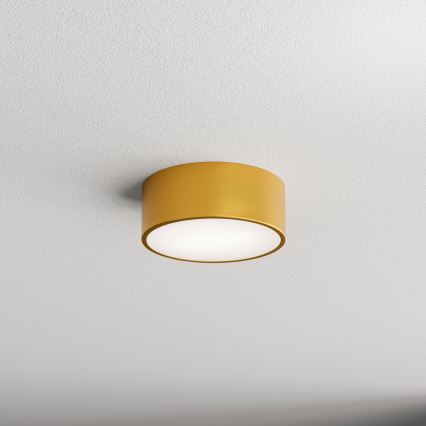 Plafonjera za kup. CLEO 1xE27/24W/230V pr. 20 cm zl. IP54