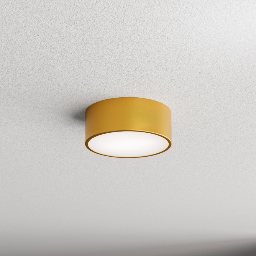 Plafonjera za kup. CLEO 1xE27/24W/230V pr. 20 cm zl. IP54