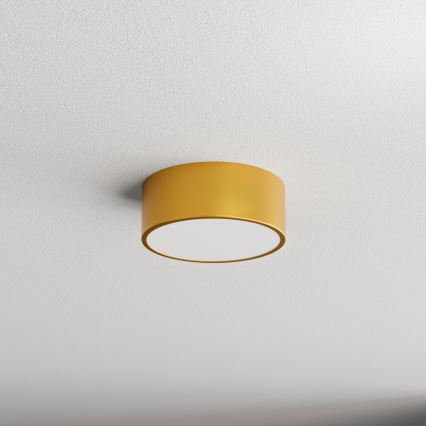 Plafonjera za kup. CLEO 1xE27/24W/230V pr. 20 cm zl. IP54