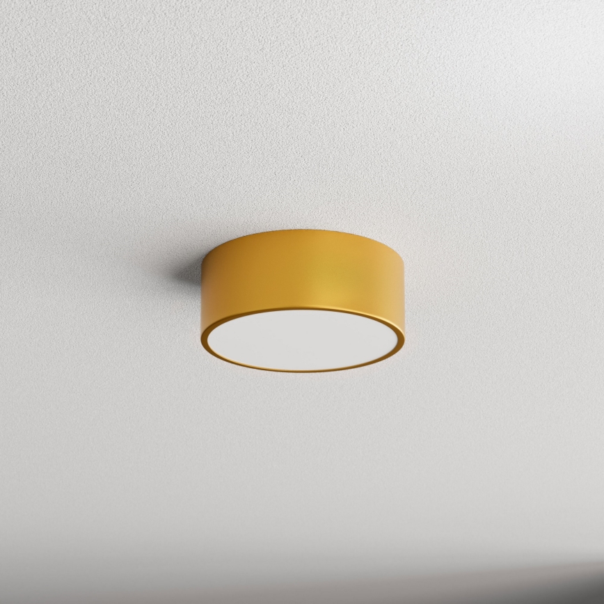 Plafonjera za kup. CLEO 1xE27/24W/230V pr. 20 cm zl. IP54